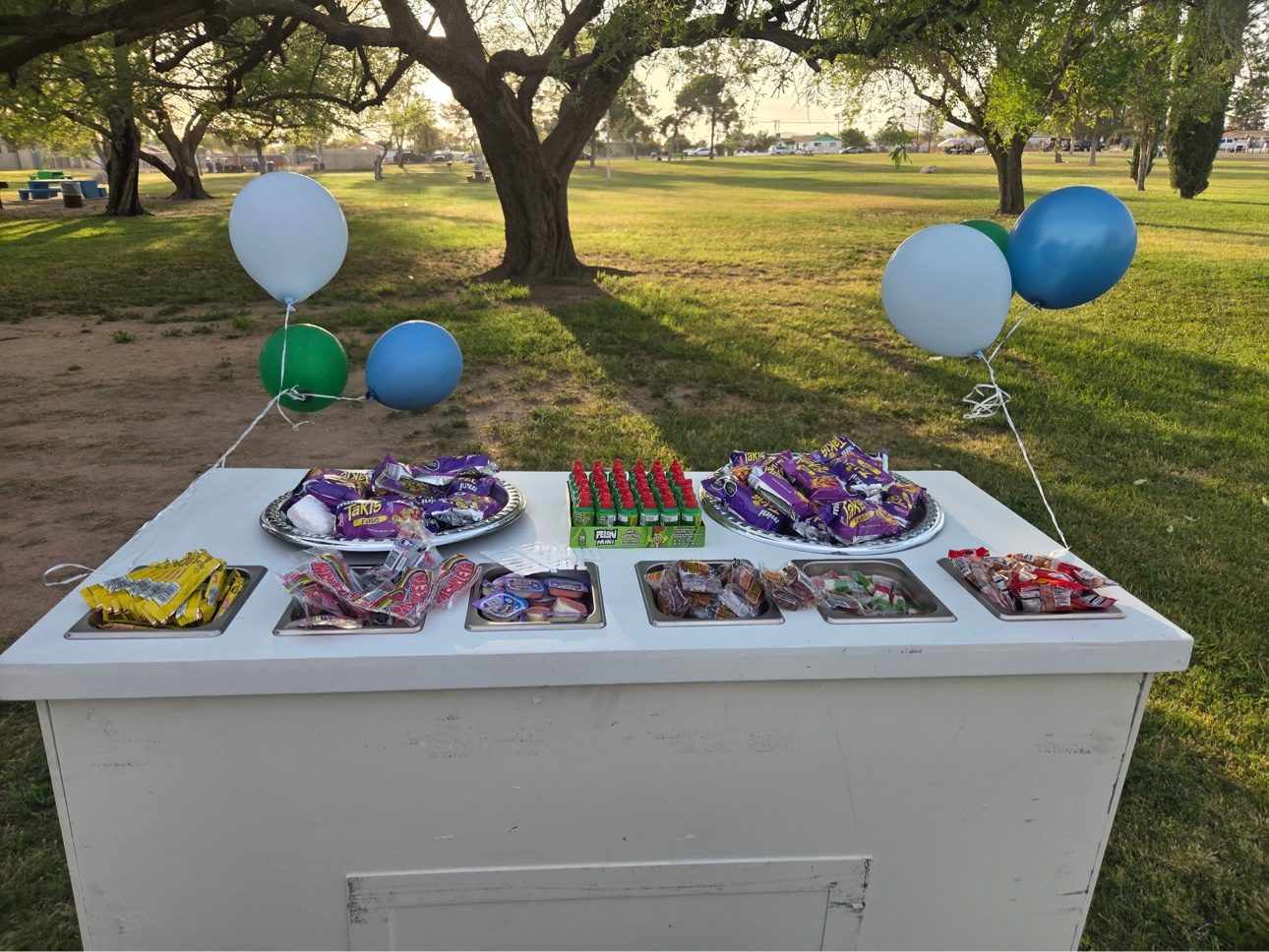 July's Rentals white snack cart loaded with candy at a park party
